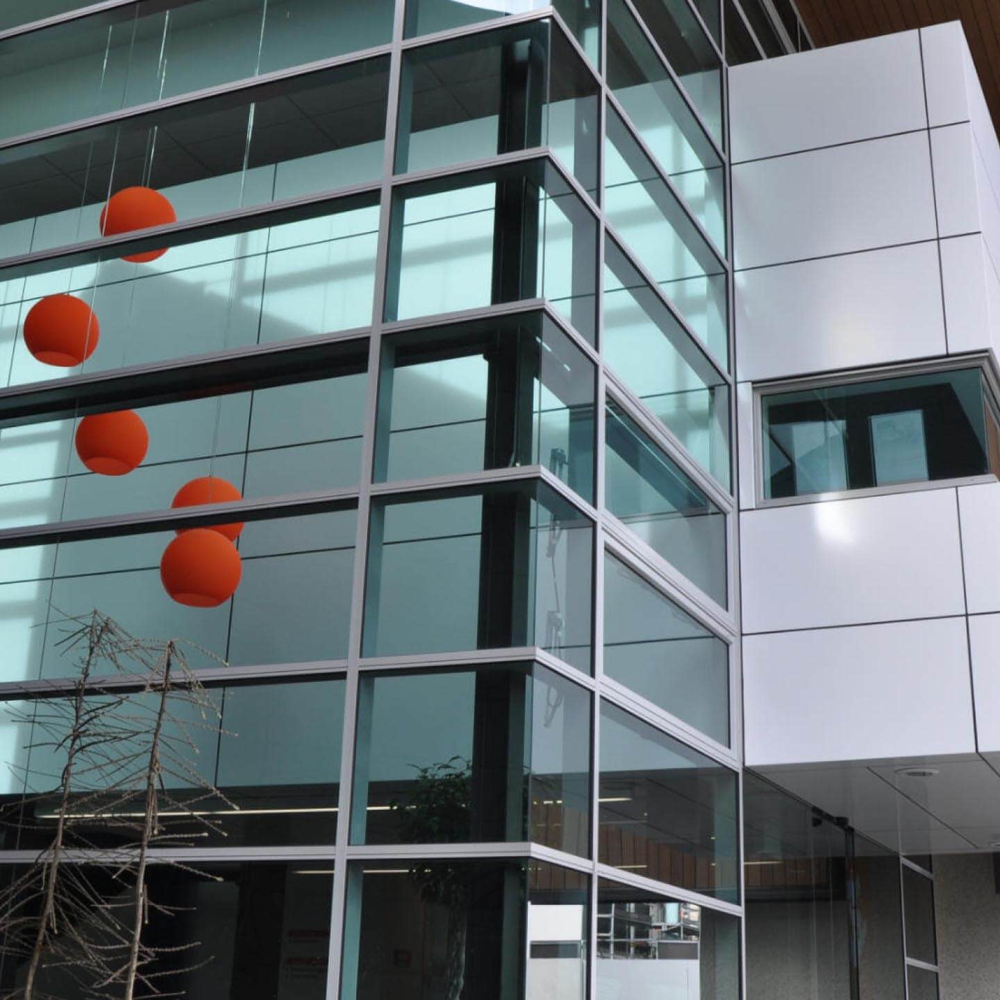 Detailed view of a building's glass wall