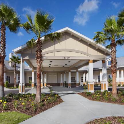 Entrance with palm trees