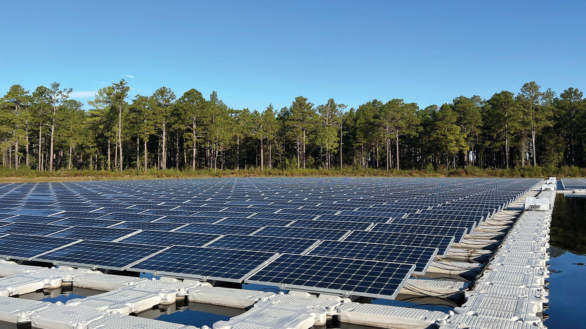 A field of solar panels