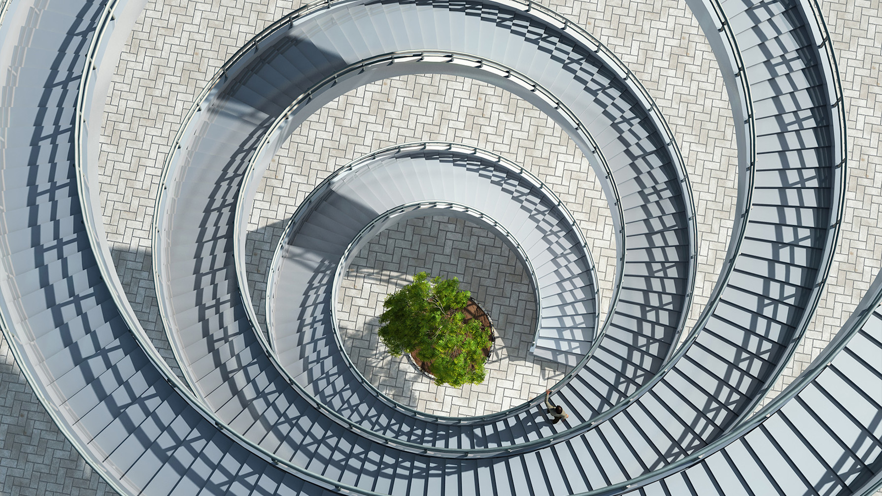 a spiral staircase with a tree in the middle