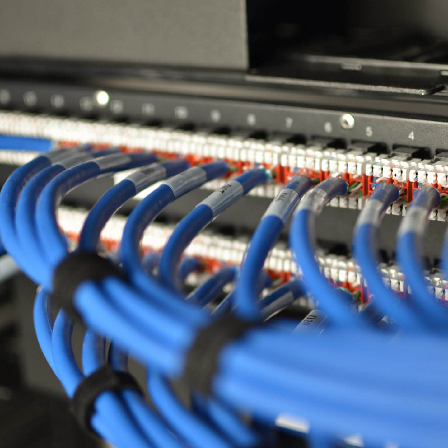 Patch Panel cables