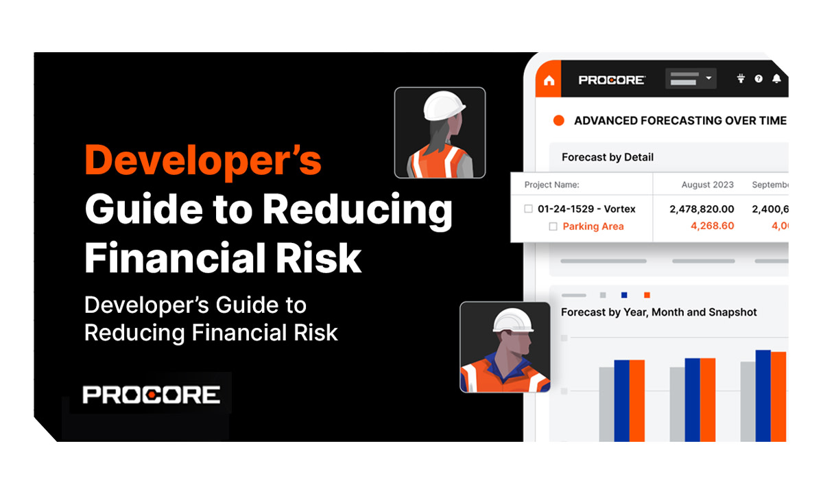 Developer's Guide to Reducing Financial Risk eBook cover