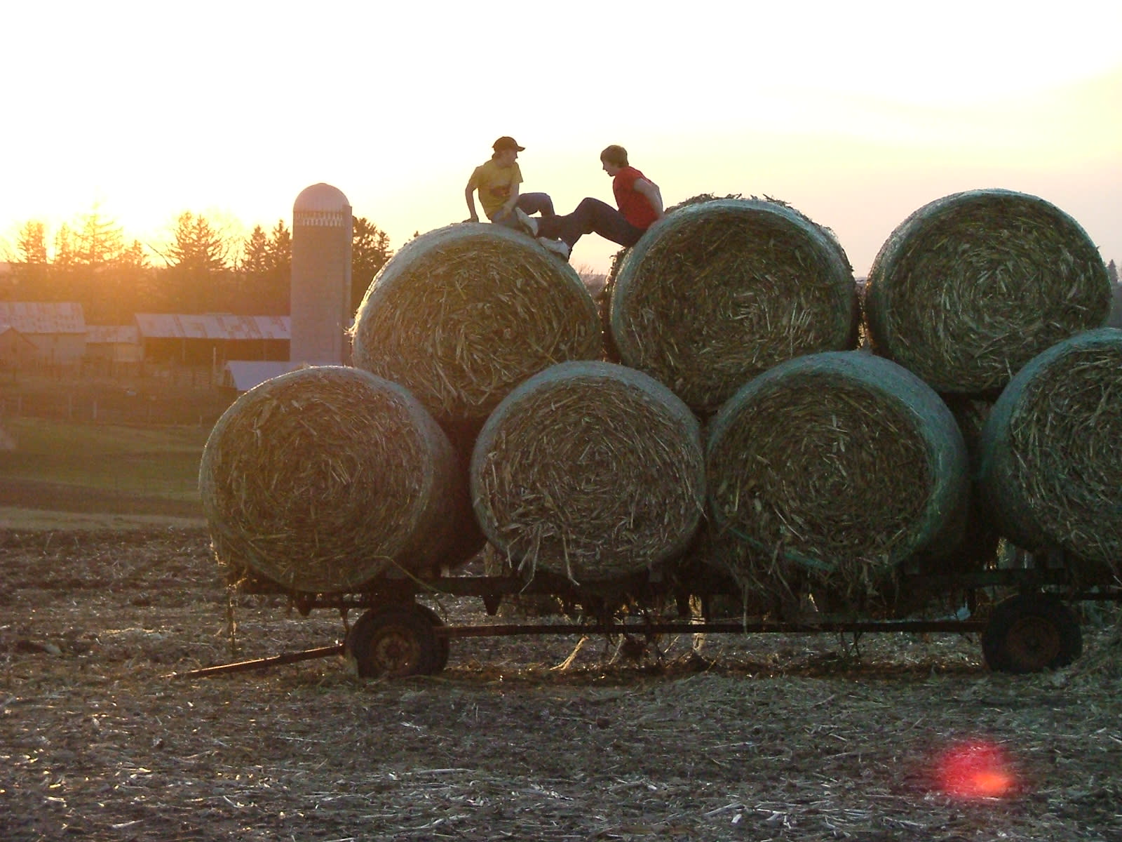MN Farm hay bail