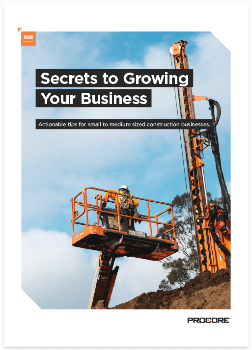 Cover of Secrets to Growing your Business Ebook