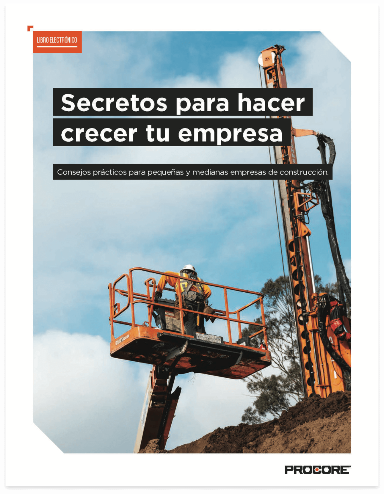 Cover of Secrets to Growing your Business Ebook