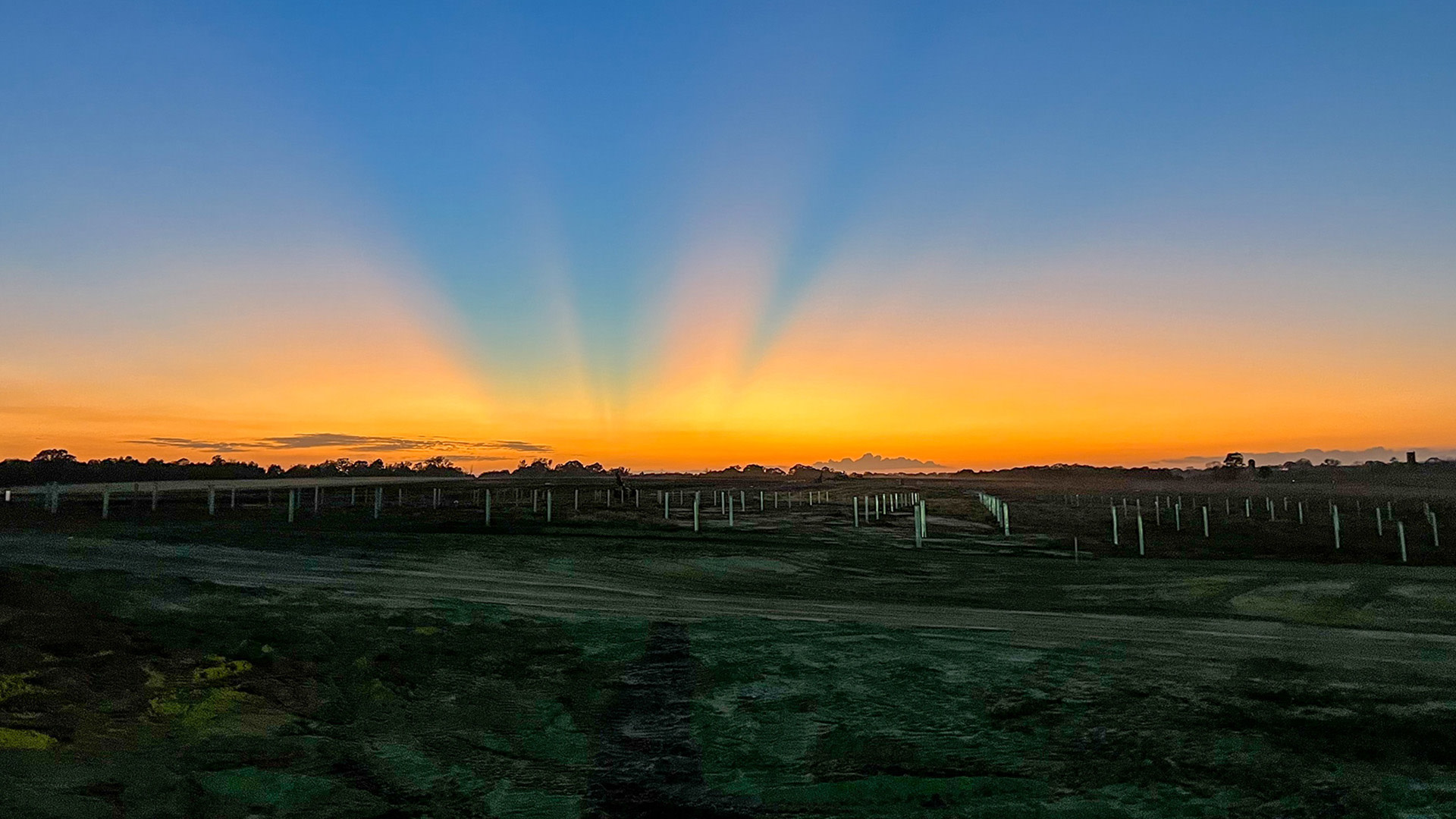 a sunset over a field