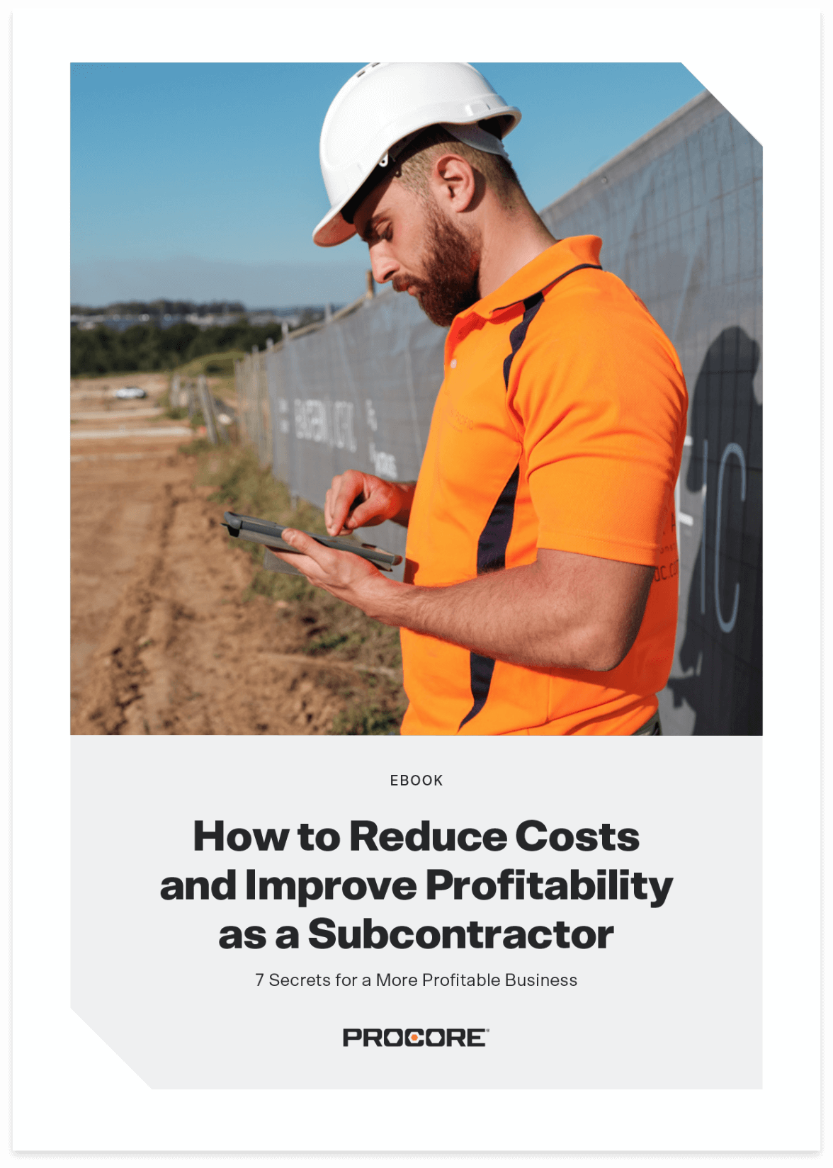 Cover of How To Reduce Costs And Impove Profitablility Ebook