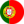 Flags__Portuguese illustrated icon