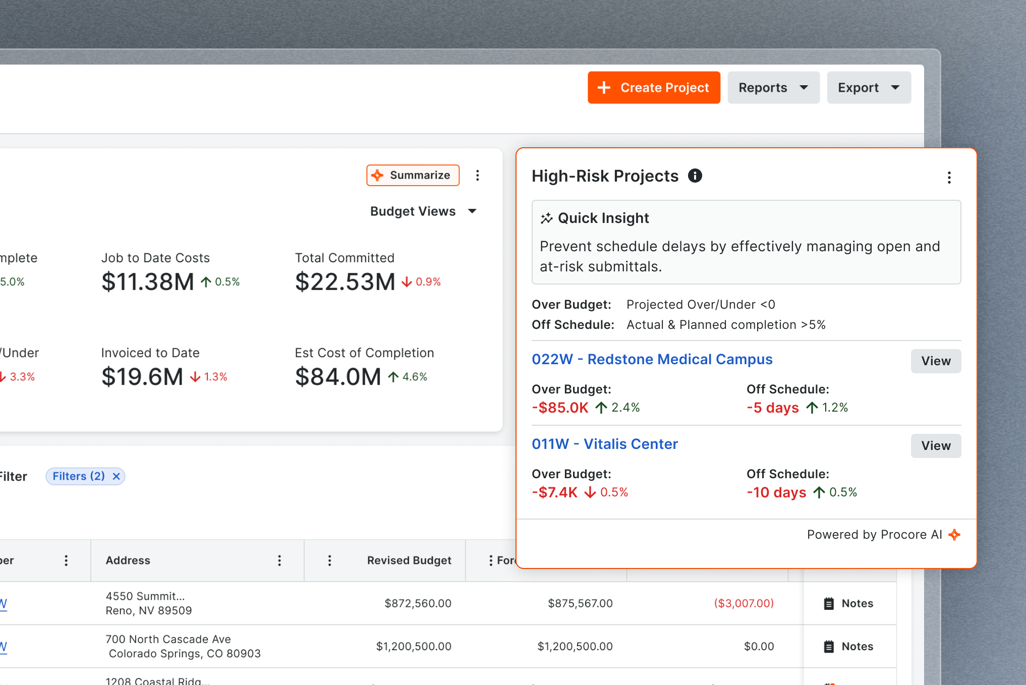 Project management dashboard showing high-risk projects with budget and schedule metrics