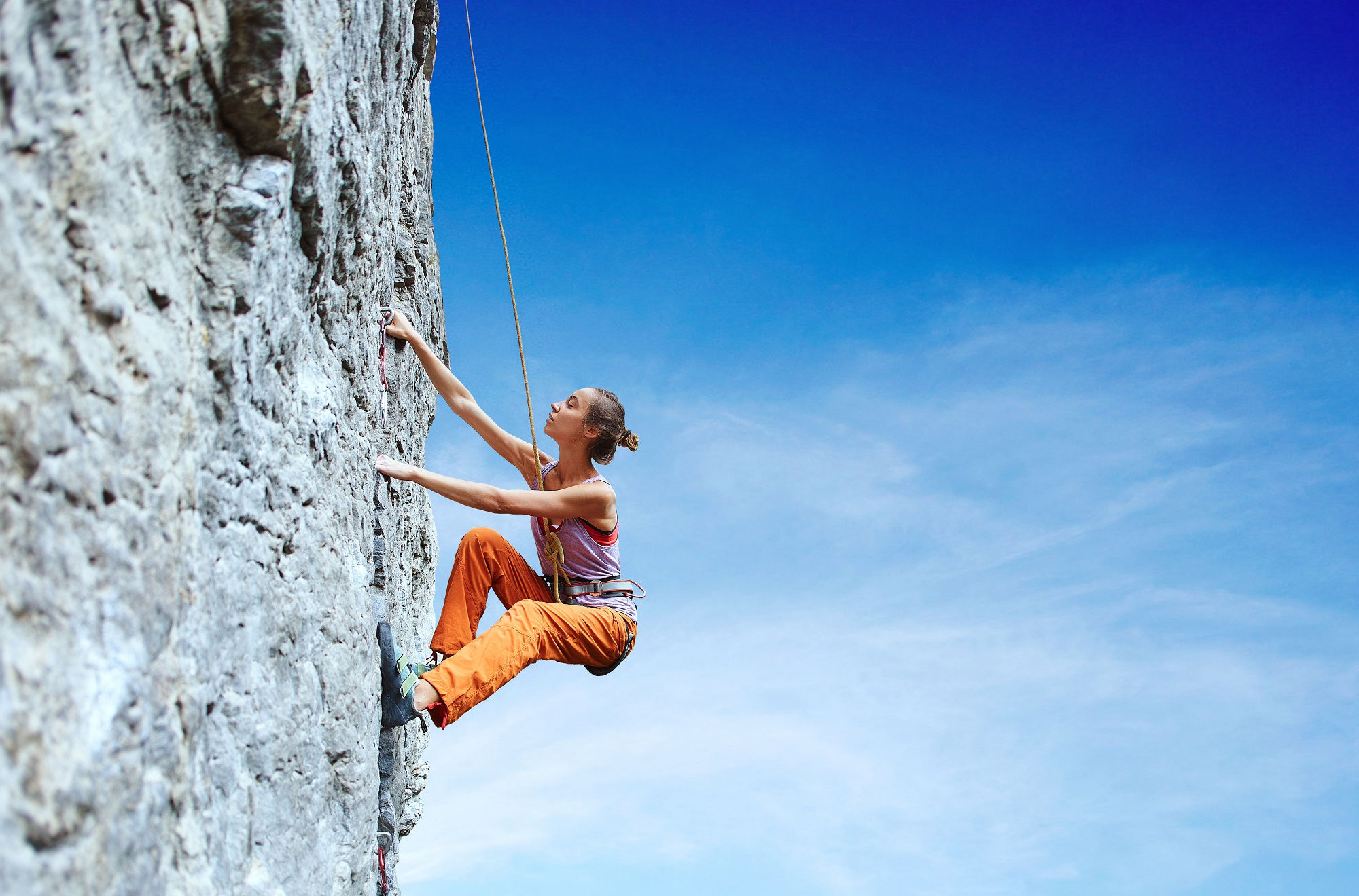 the wall of worry Fisher Funds