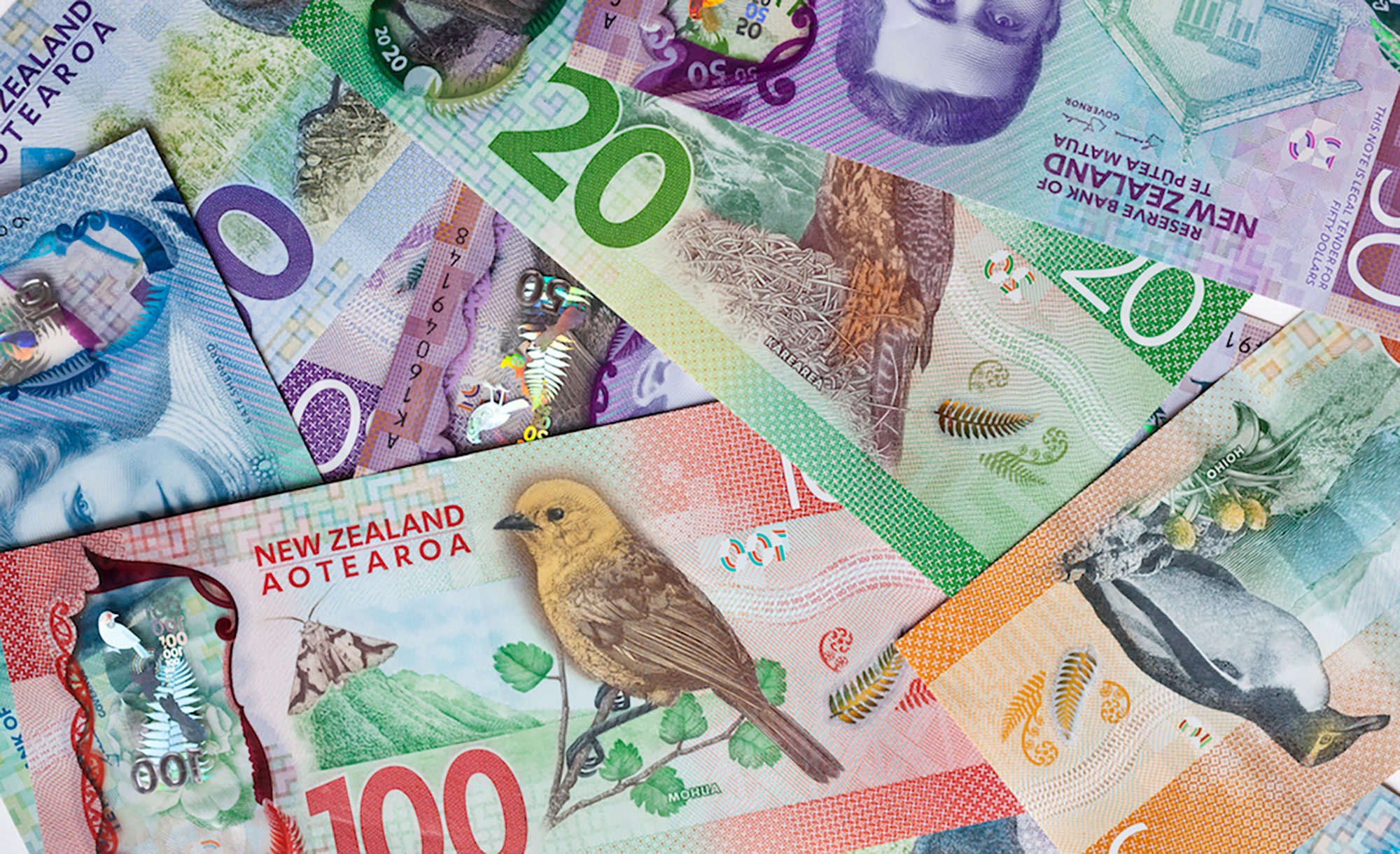 Grab the cash for your stash Fisher Funds