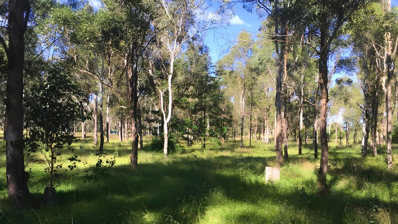 The project will require about 0.33ha of native vegetation, including 0.31ha of critically endangered Cumberland Plain Woodland, to be cleared, reducing a conservation area from 1.11ha to 0.78 hectares.