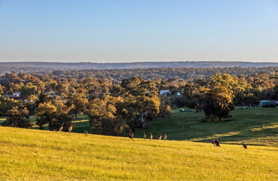 WA Urban Corridor Demand Pushes Land Releases