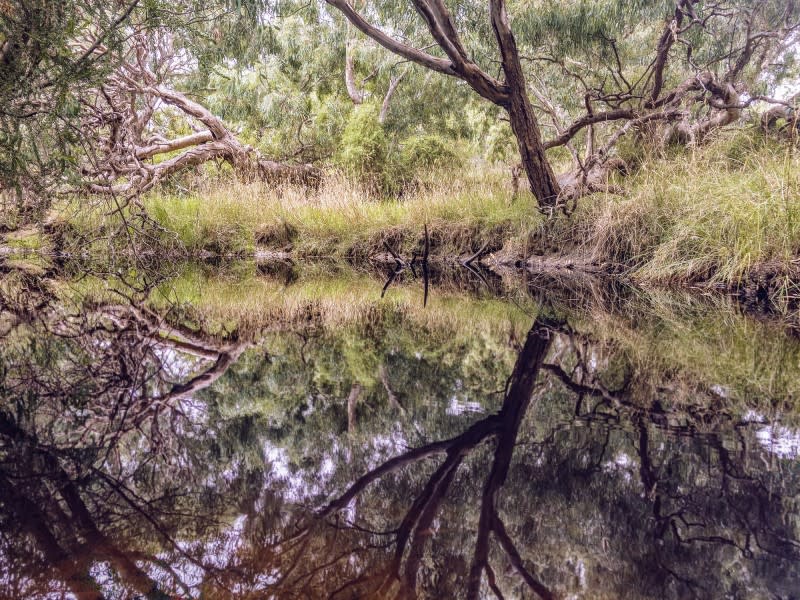 City of Melbourne councillors want the Victorian government to provide dates, plans and funding for reconstructing and opening the Moonee Ponds Creek shared trail.