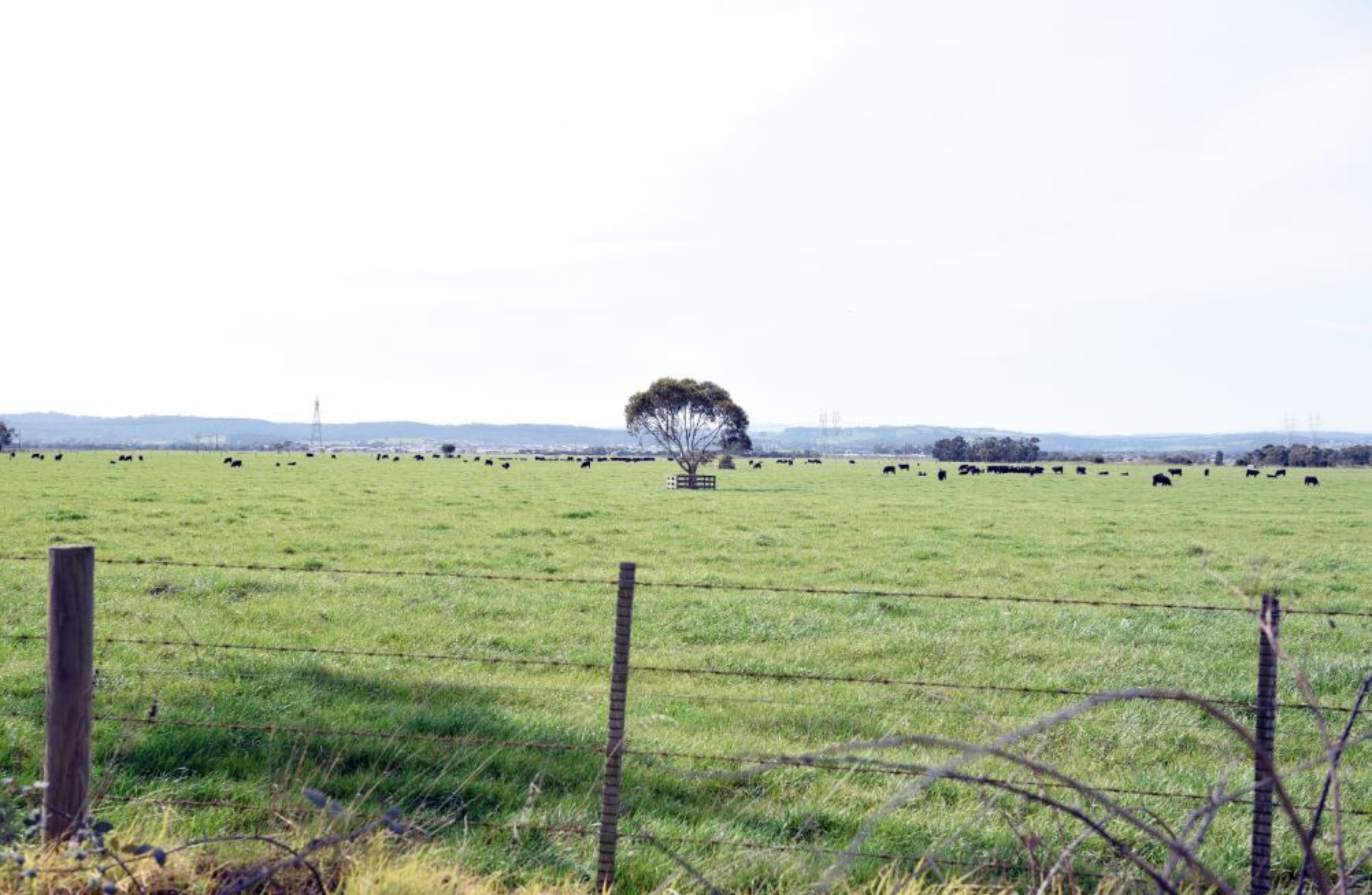 Victorian Planning Shakeup Targets Faster Greenfield Growth The Urban