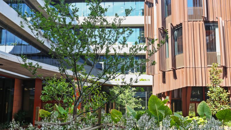 MID Bourke and Bowden courtyard