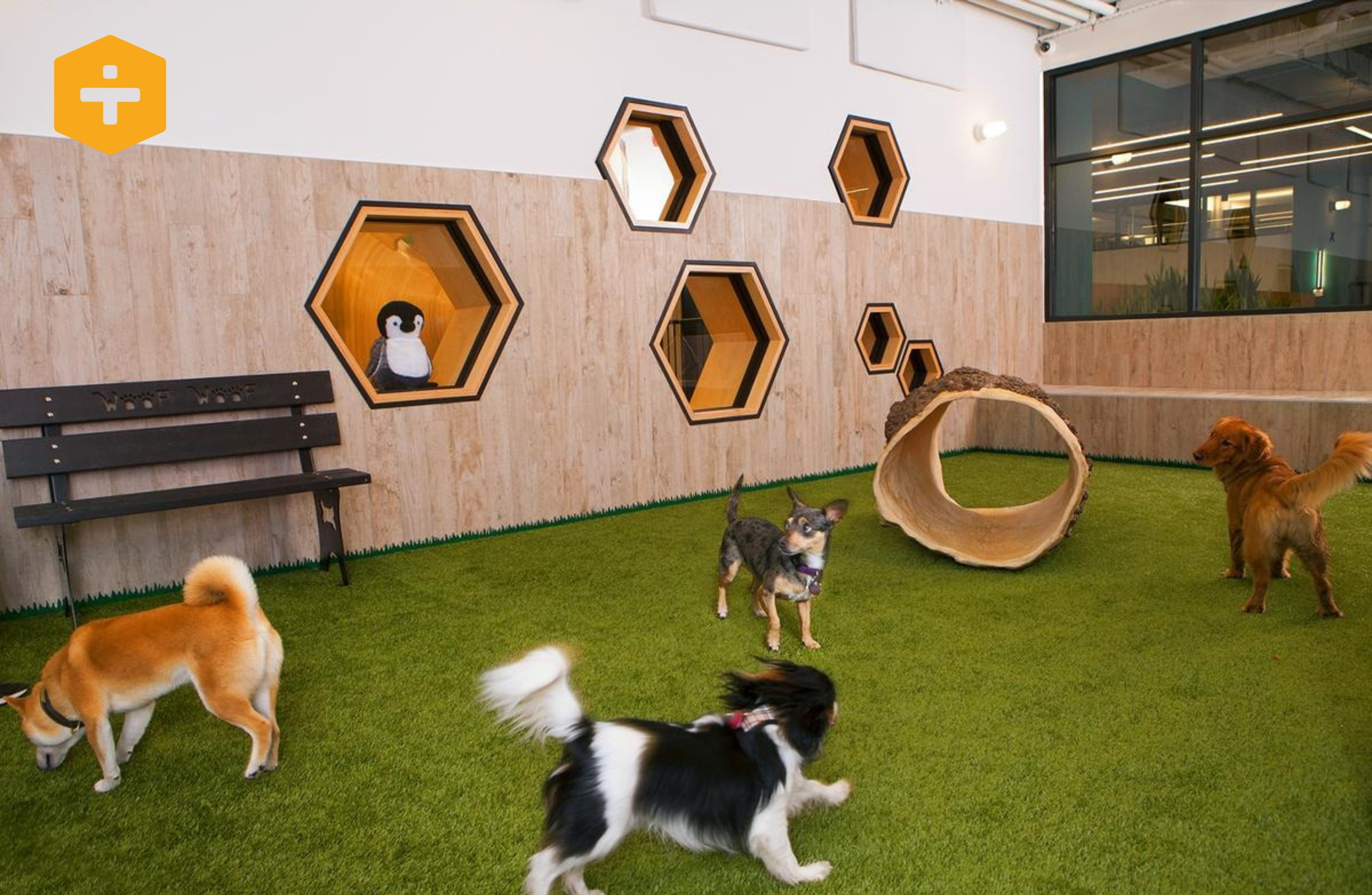 Pet Project The Rise Of Barkitecture The Urban Developer pet-project-the-rise-of-barkitecture-the-urban-developer