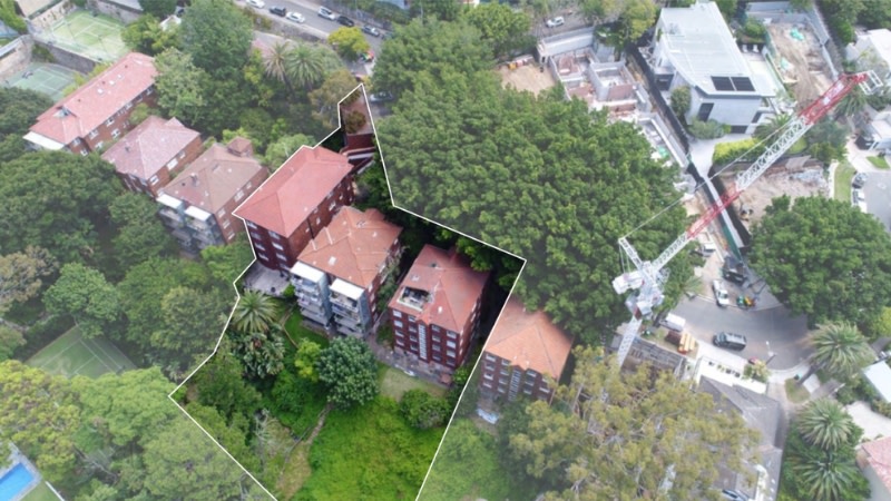 drone image showing a crane and three older apartment buildings in Bellevue Hill with a green leafy backyard and huge canopy.