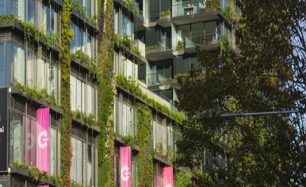 View of Eco-Friendly Apartment Living - 14 Tips & Ideas - TRVST