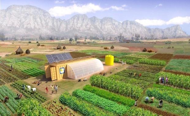 How Shipping Containers Could Be The Key To Food Sustainability | The ...