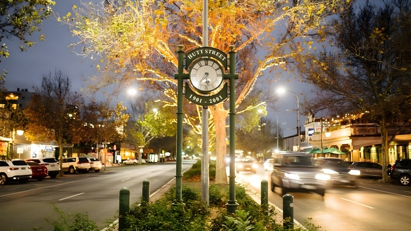 image of a clock tower on a tree lined street in adelaide at night