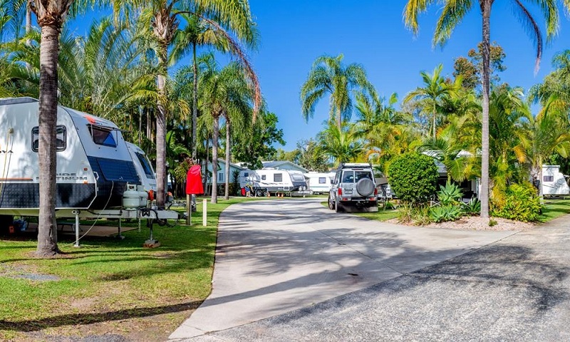 Caravan sites at the BIG4 Ballina Headlands Holiday Park on a sunny day. The campsites are powered and located between palms and concreted roads.
