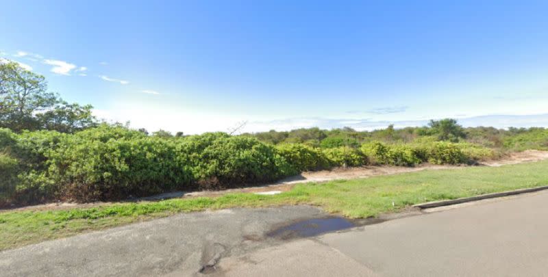 An image of the bushland development site at 11-27 Jennifer Street in Little Bay, about 15km south of Sydney.