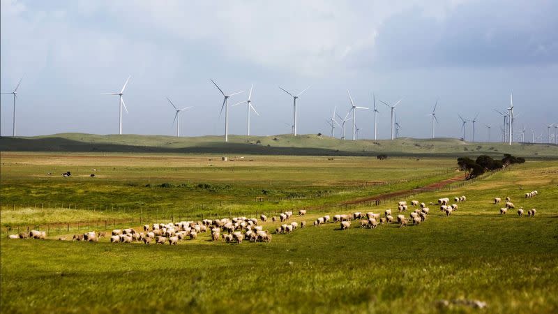 There are fears within the industry that getting hold of foreign-made technology and equipment, like wind turbines, will become increasingly difficult.