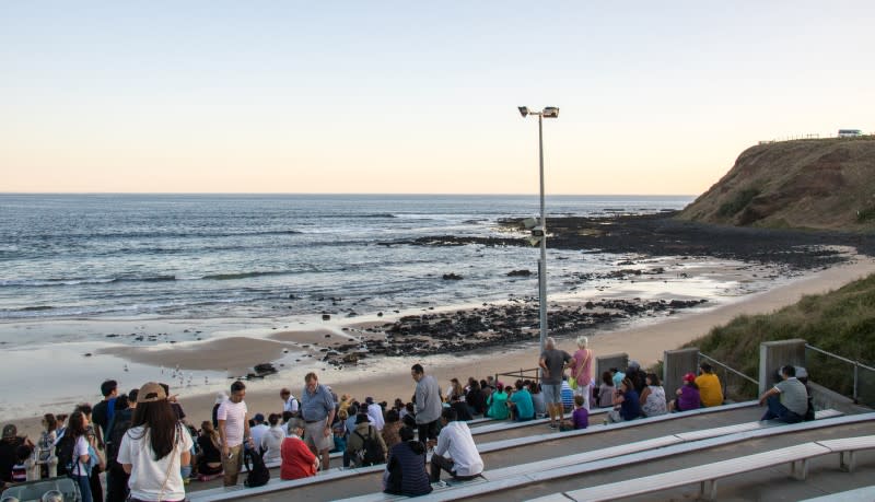 The viewing stands at the Penguin Parade on Phillip Island in southern regional Victoria.