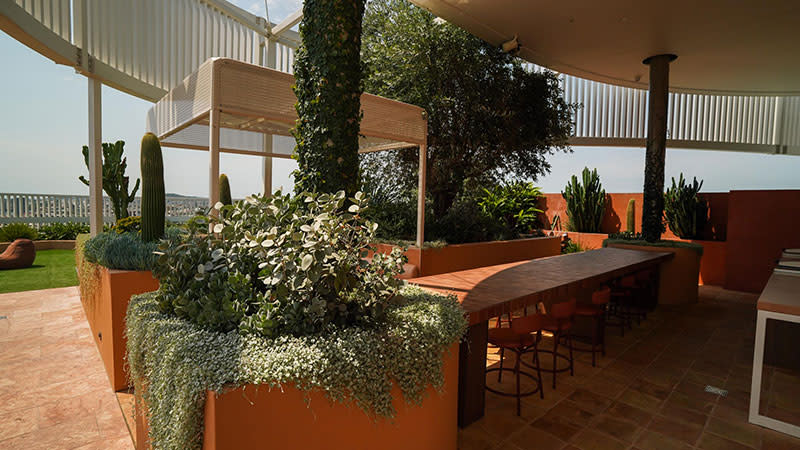 Martin Brothers balcony garden