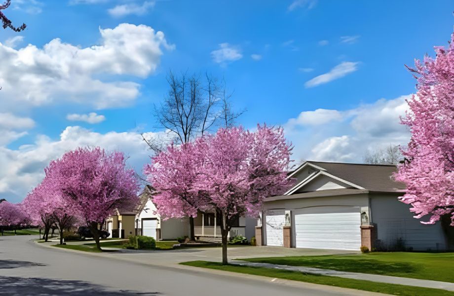 Dandenong Quarry Rezoning Clears Way for Housing Estate