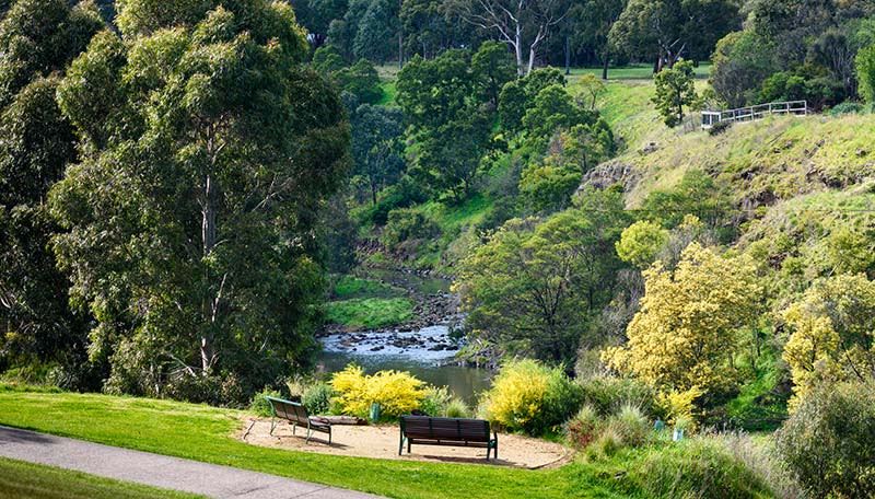 Parklands alongside Merri Creek in Melbourne's inner north