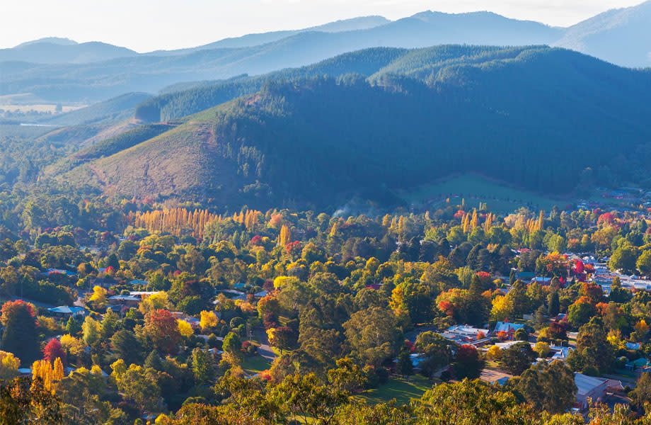 Deague Group’s Alpine Estate Gets Green Light