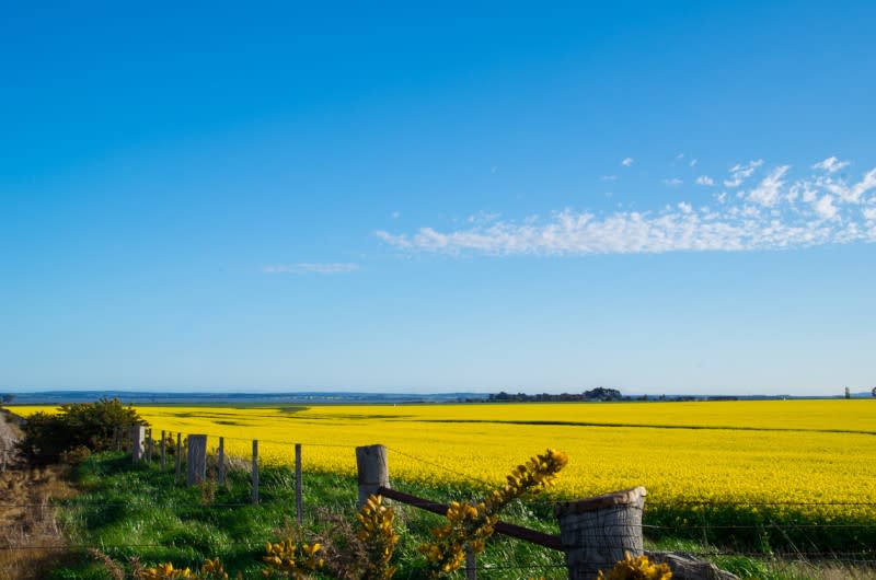 Land in regional Victoria where many councils are struggling to meet trunk infrastructure costs.