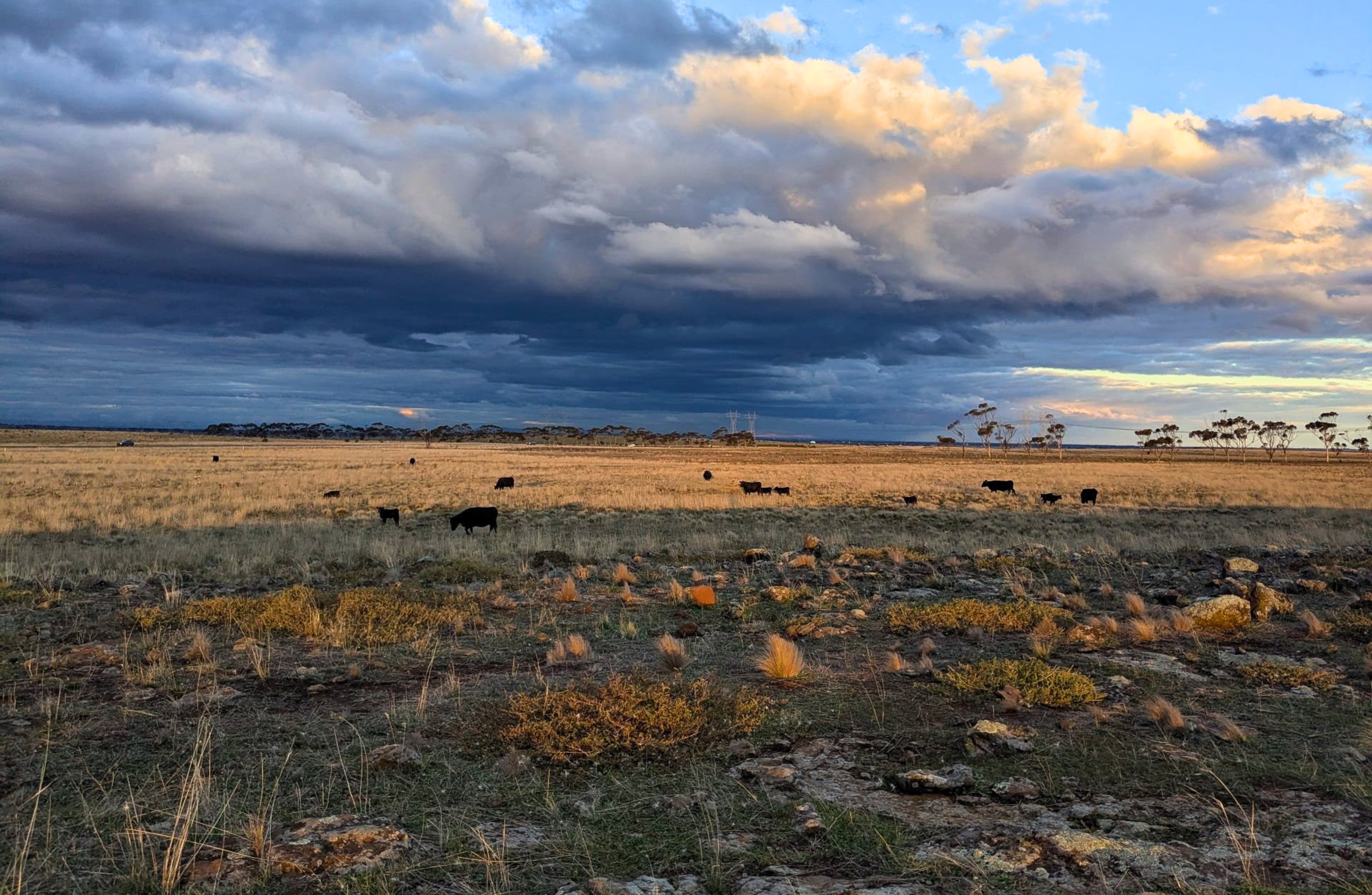 Your Land is Worth Millions—Until the State Makes Its Own Plans
