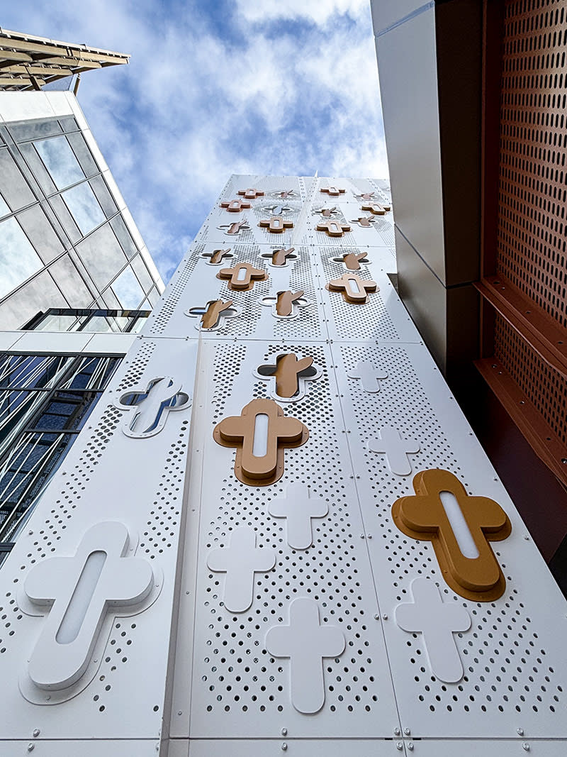 UAP Mater Hospital Springfield Entry Art Screen