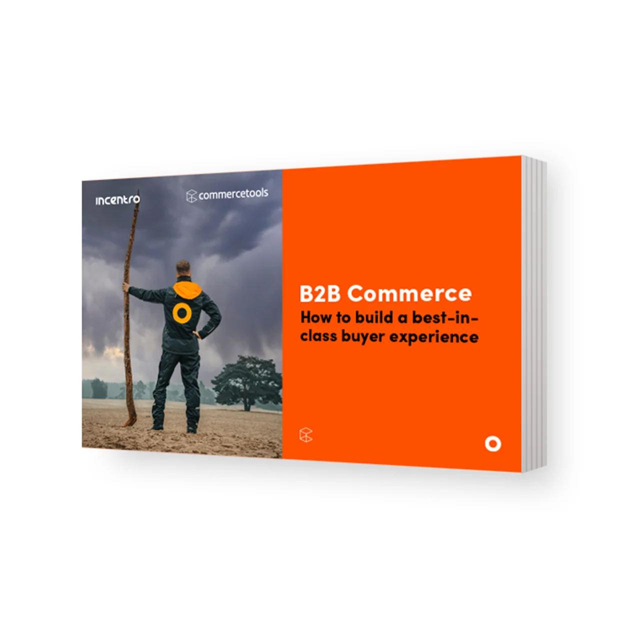 B2B e-commerce: hoe bouw je een moderne online buyer journey?