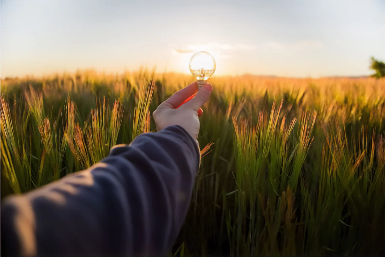 Una innovadora aplicación para la Gestión Energética Empresarial en tiempo récord 