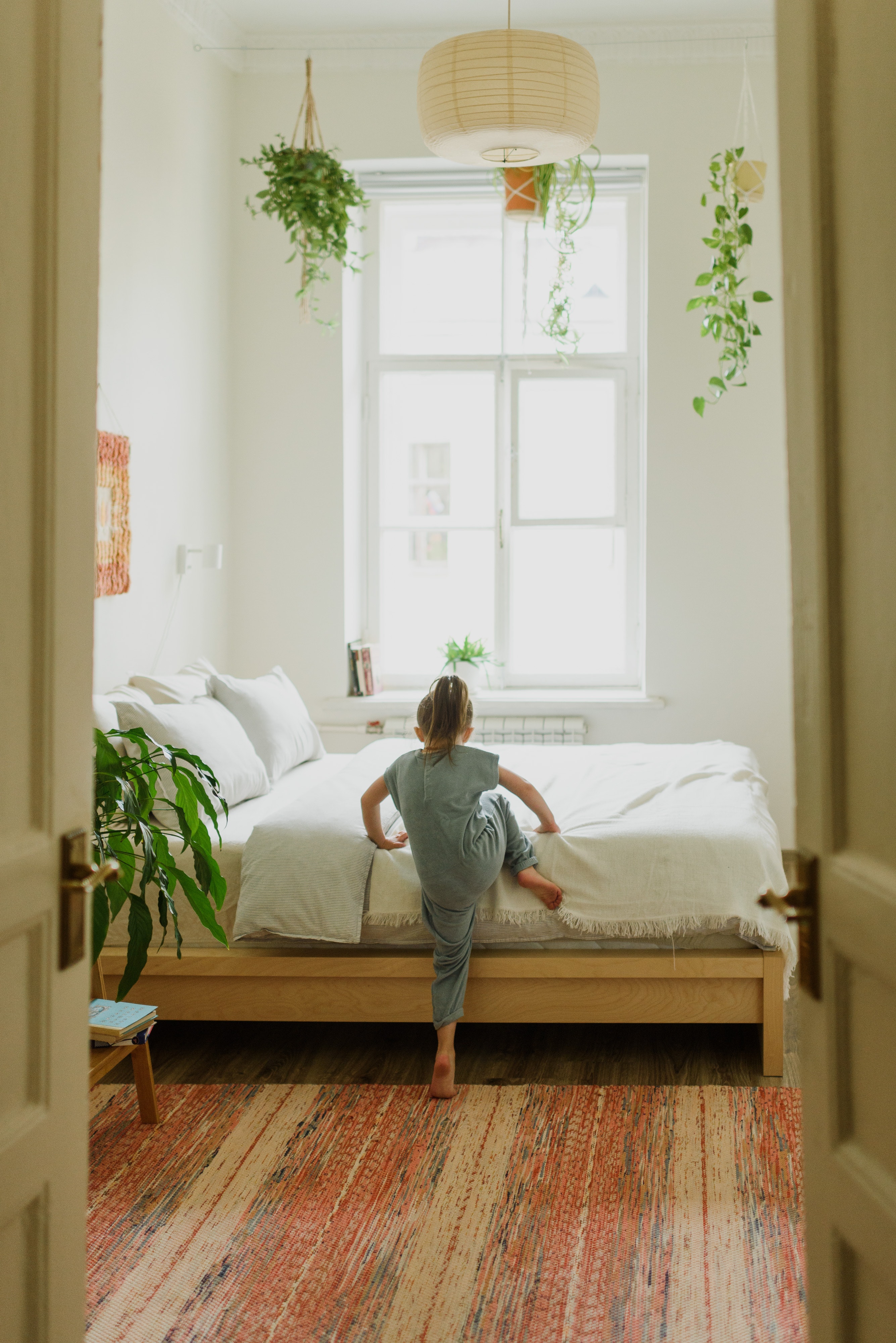 pflanzen fürs schlafzimmer: 7 optimale sorten | porta ratgeber