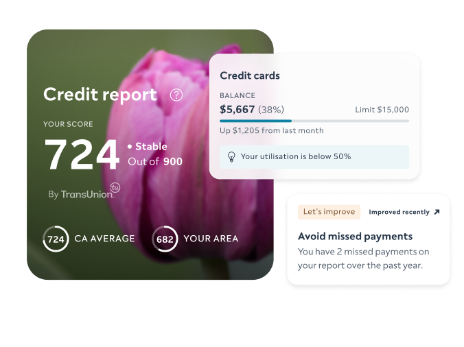 CA - Credit Score Items