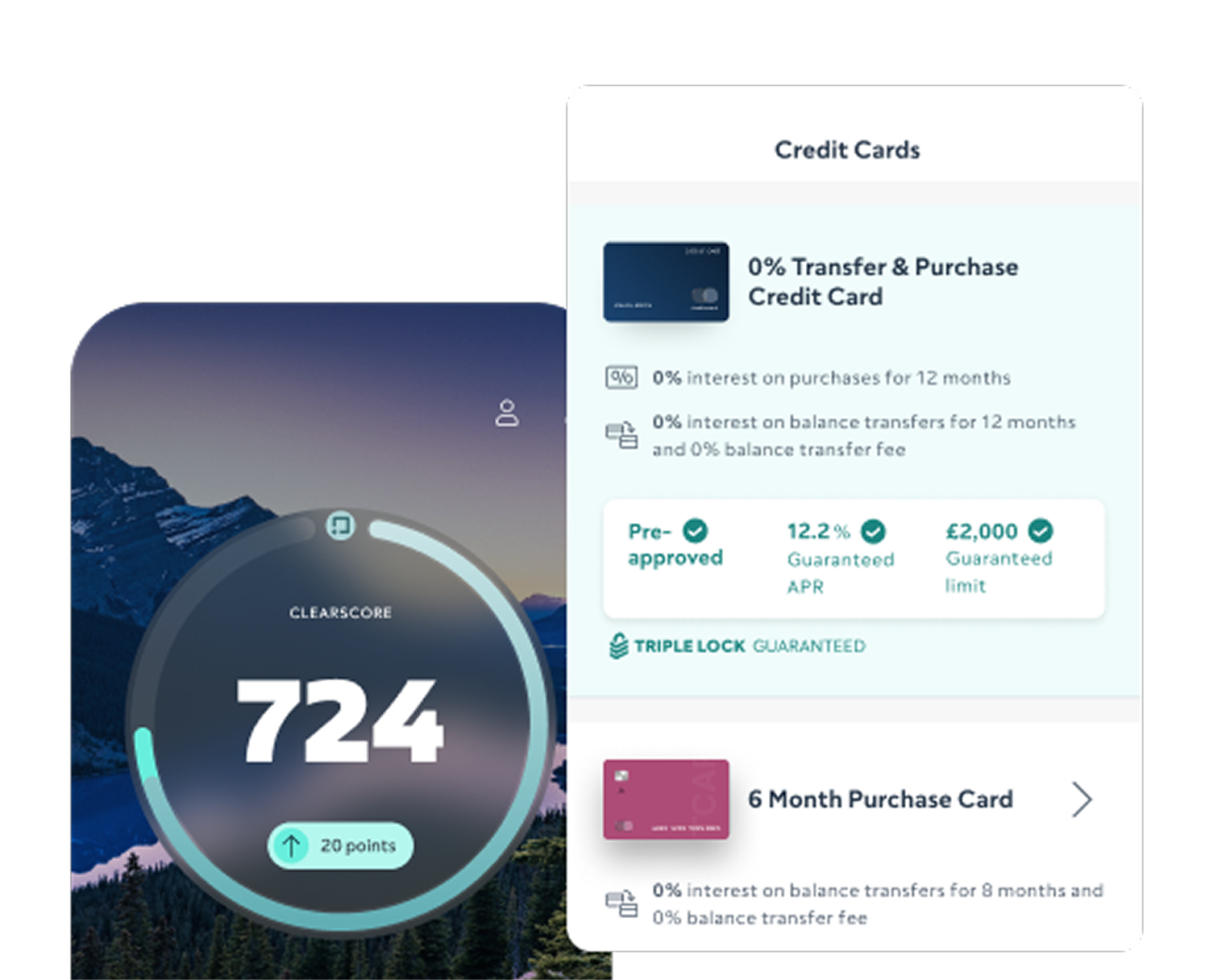 Credit Score and Credit Cards Homepanel