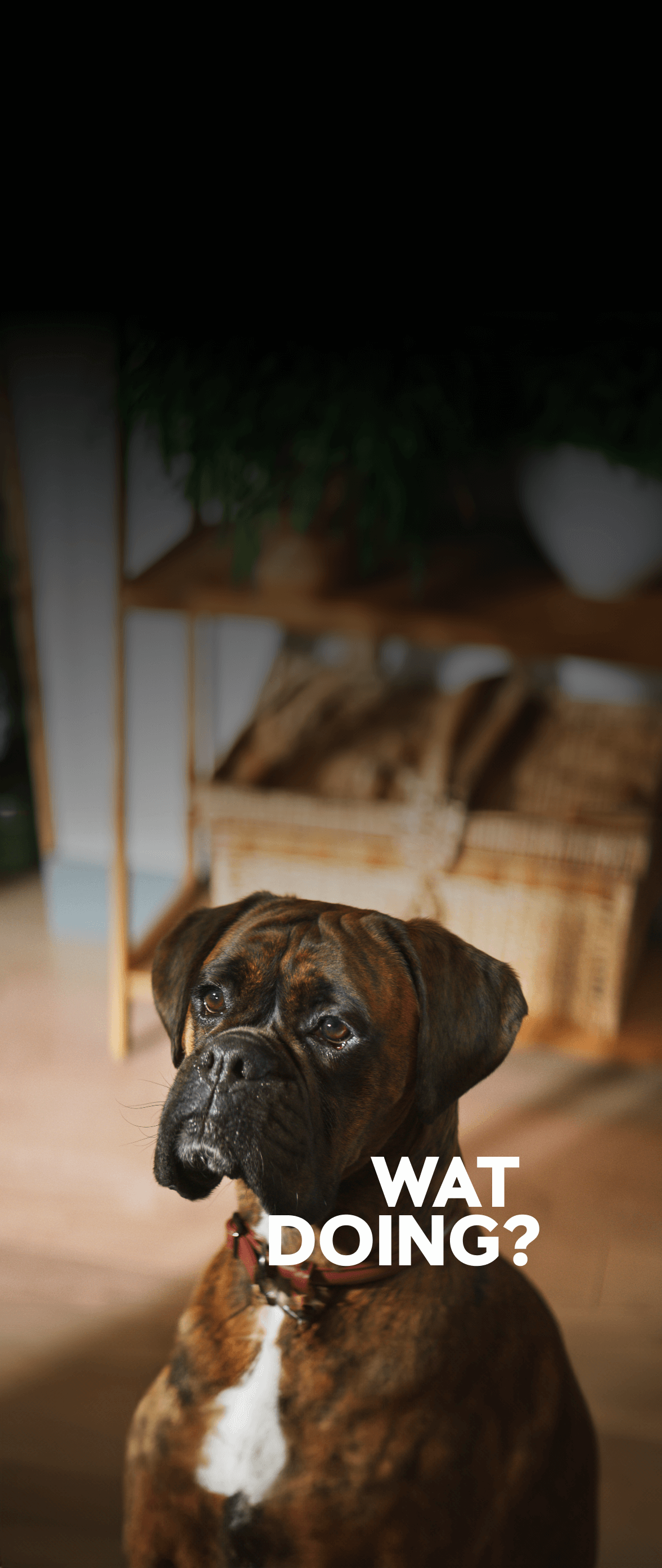 Home hero background NZ