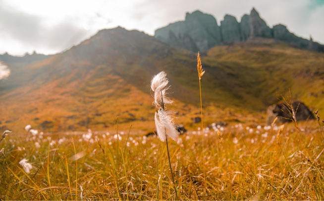 0% Interest Credit Cards | Compare and Apply | ClearScore GB