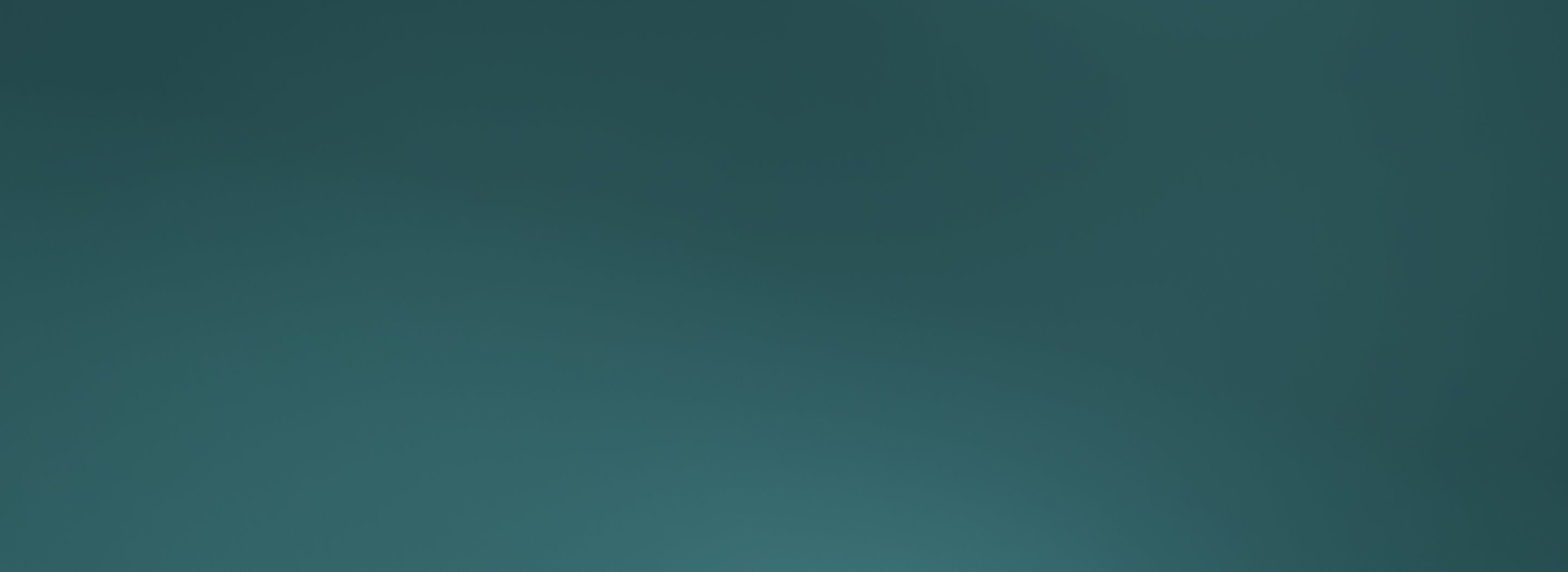 JanEx 2025 background gradient
