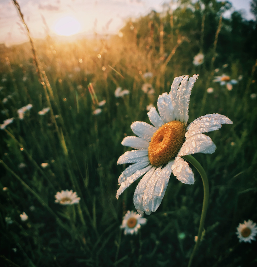 0% Interest Credit Cards | Compare and Apply | ClearScore GB