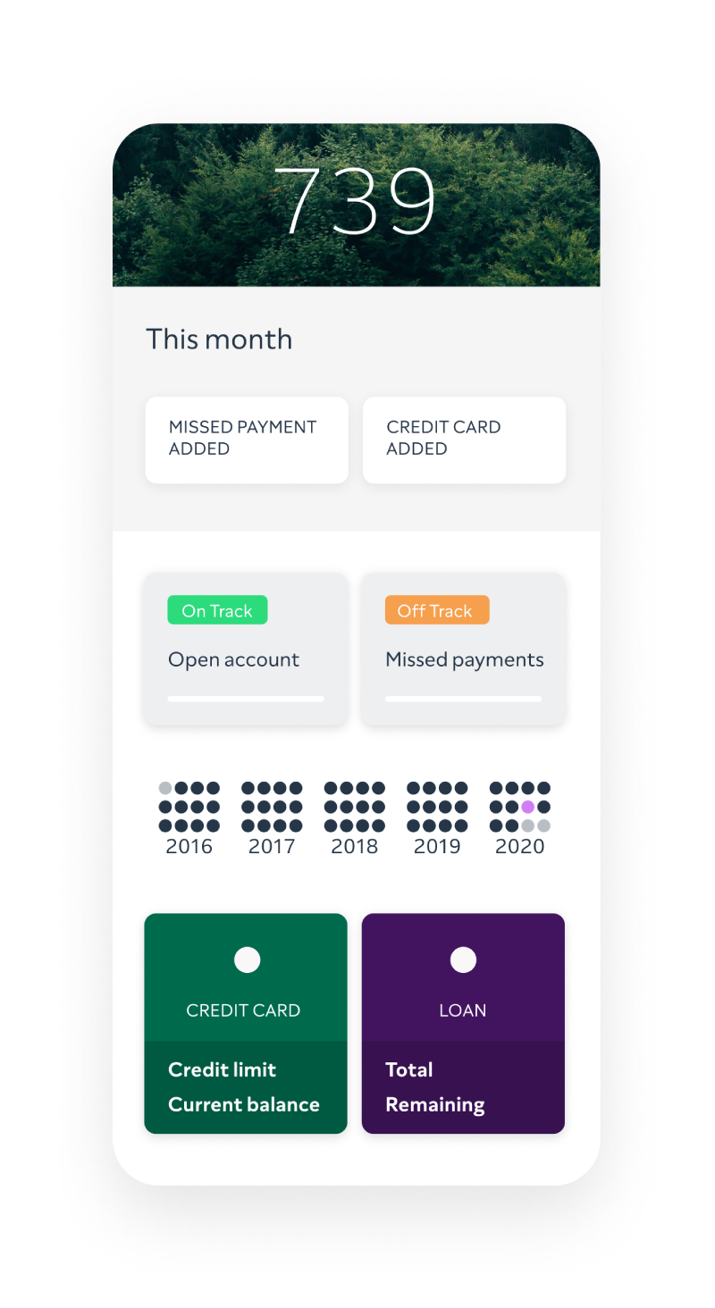 Mobile phone showing credit report