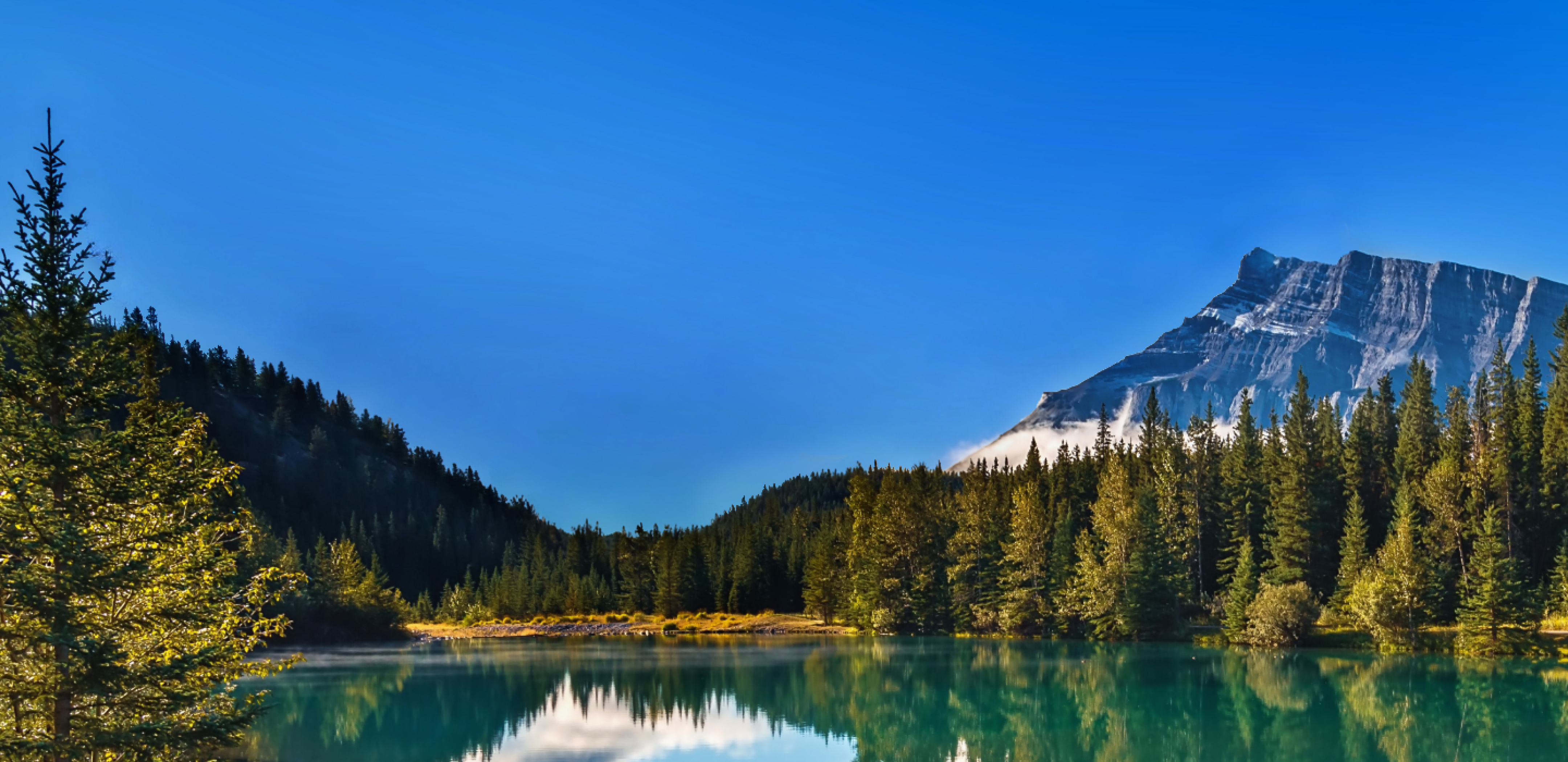 CA - Homepage Desktop Background Image