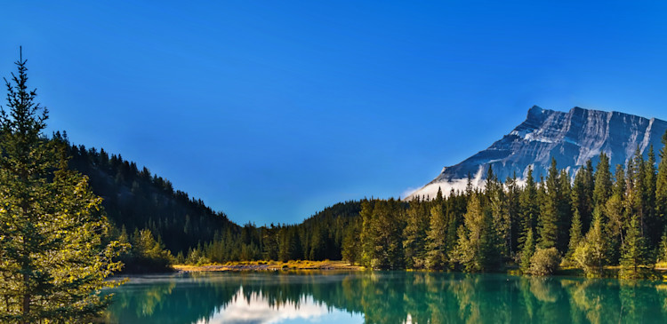 CA - Homepage Desktop Background Image