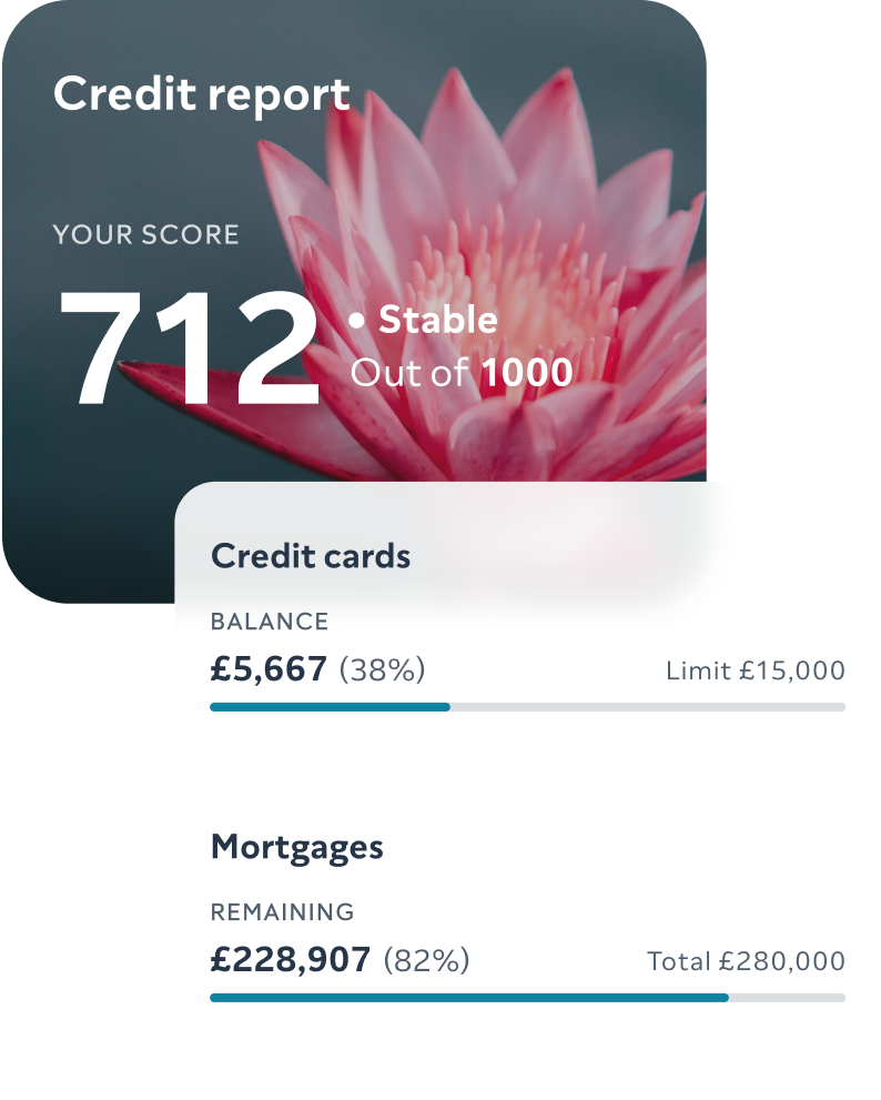 Image showing credit card and mortgage balances on your credit report. 