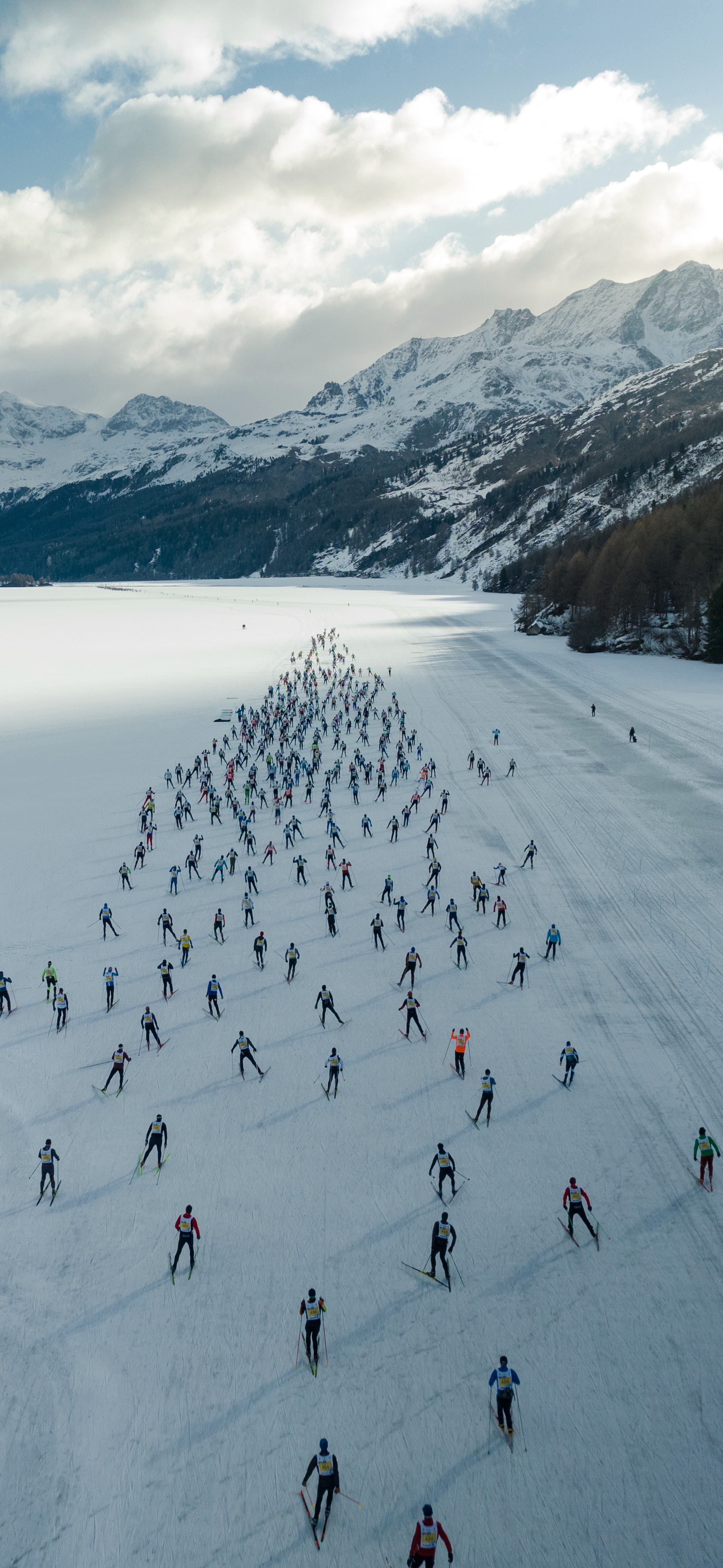 Tout Grid Full Width Banner for Race ready: Elevate your Engadiner prep with these five pro tips